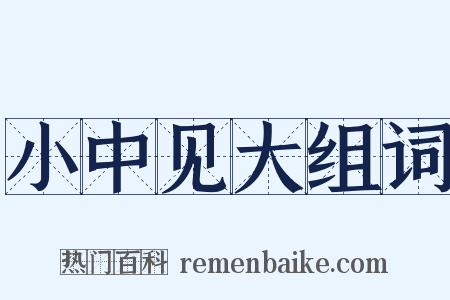 小中见大组词是什么意思的图片